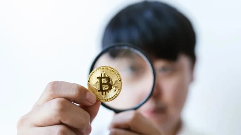 Le principali imprese generano flussi netti del 10-15%