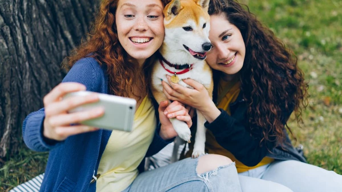 Dogecoin Labs lanserer betalingsløsning, ifølge Crypto