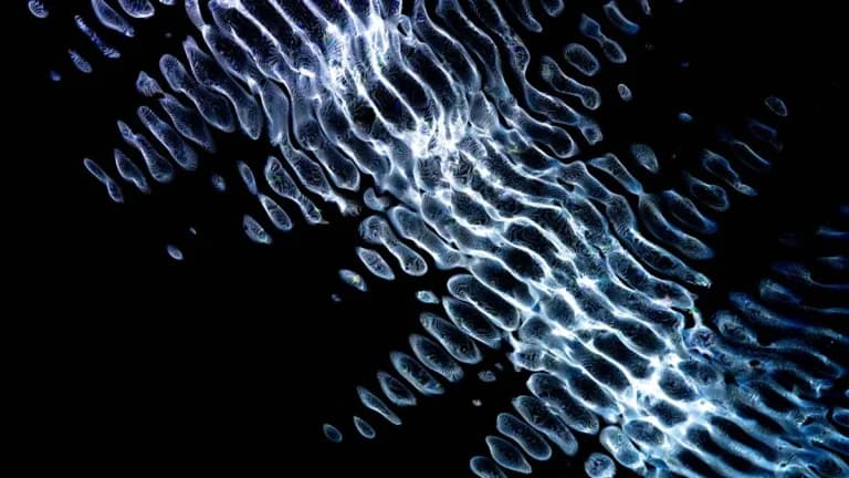 Kraken’s Bold Bitcoin Prediction Fuels Community Optimism