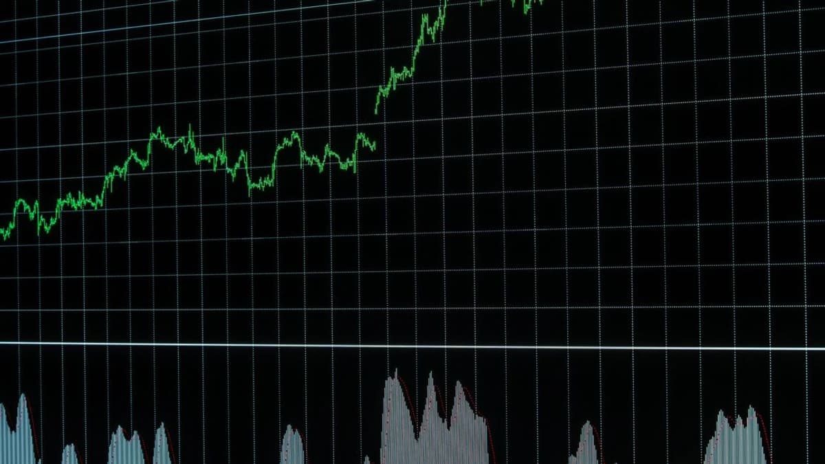 Bitcoin Market Dynamics Shift as Major Transfers Hit