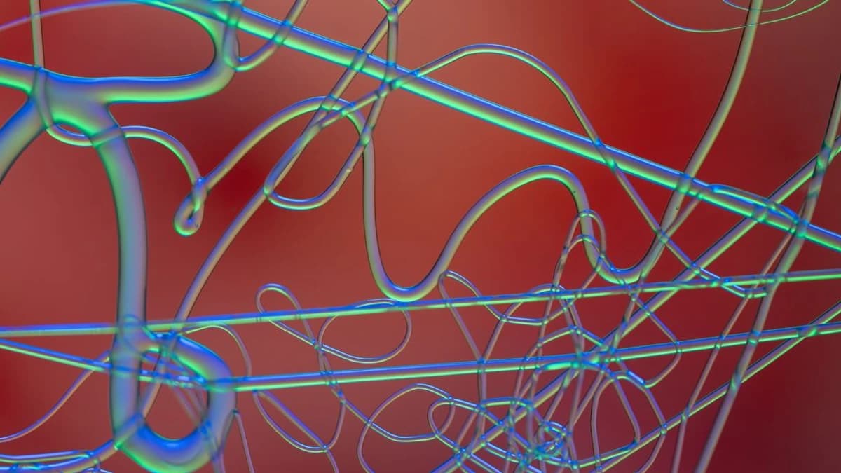 NEAR’s AI Money Thesis Unveiled by Illia Polosukhin, User