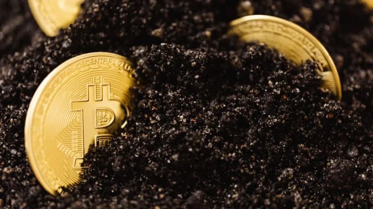 Bitcoin Nears Peak Correlation with Gold, Traders Brace