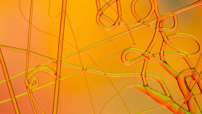 Bitfinex Notes Significant Rise in Altcoin Leverage Over