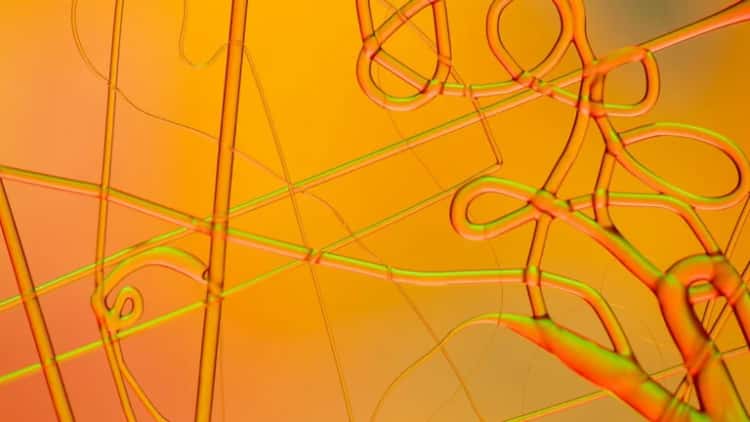 Bitfinex Notes Significant Rise in Altcoin Leverage Over
