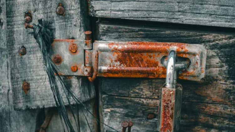 Grayscale avanza con la richiesta ETF per Worldcoin