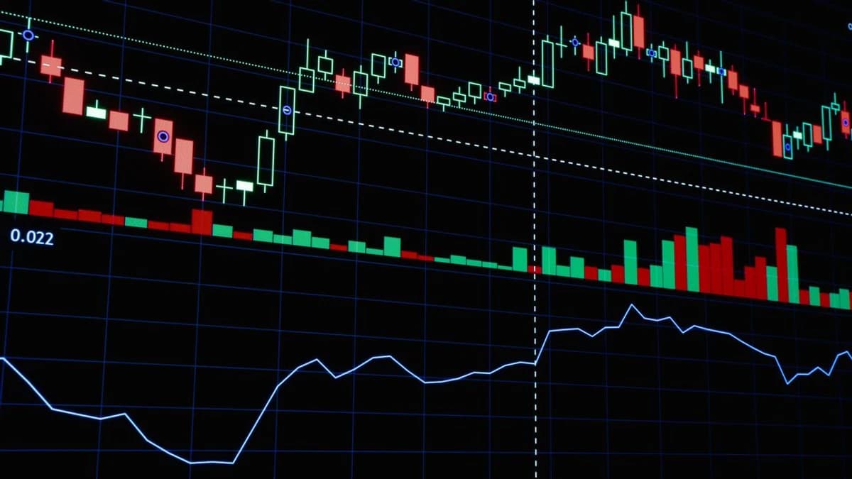 Chainlink’s Community Buzz Around Base Stocks Gains Attention