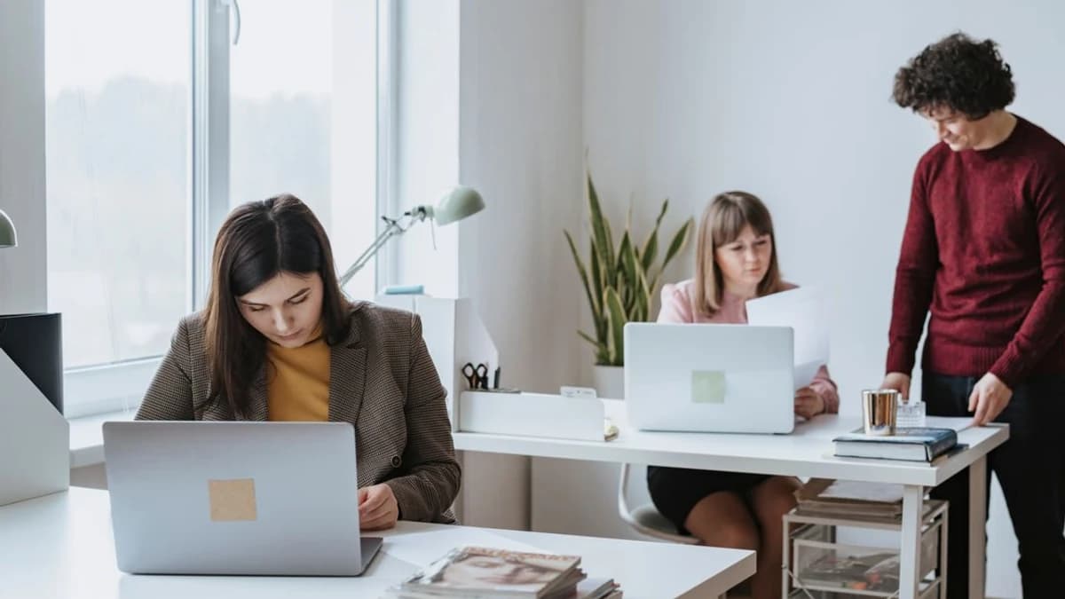 Lido dévoile le Vault EarnUSD sur la couche Twyne pour Aave