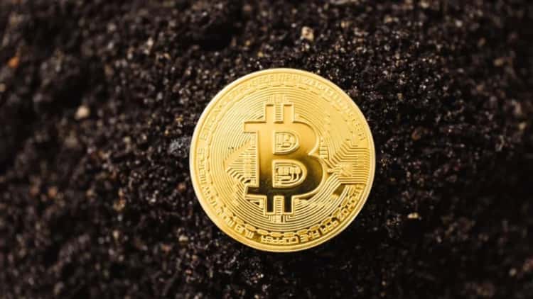 La comunidad criptográfica respalda a $NUDES en su