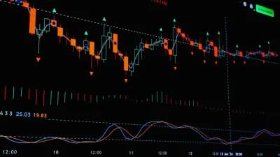 Bitcoin Sees 570,000 BTC Added Since July Amid ETF Sales