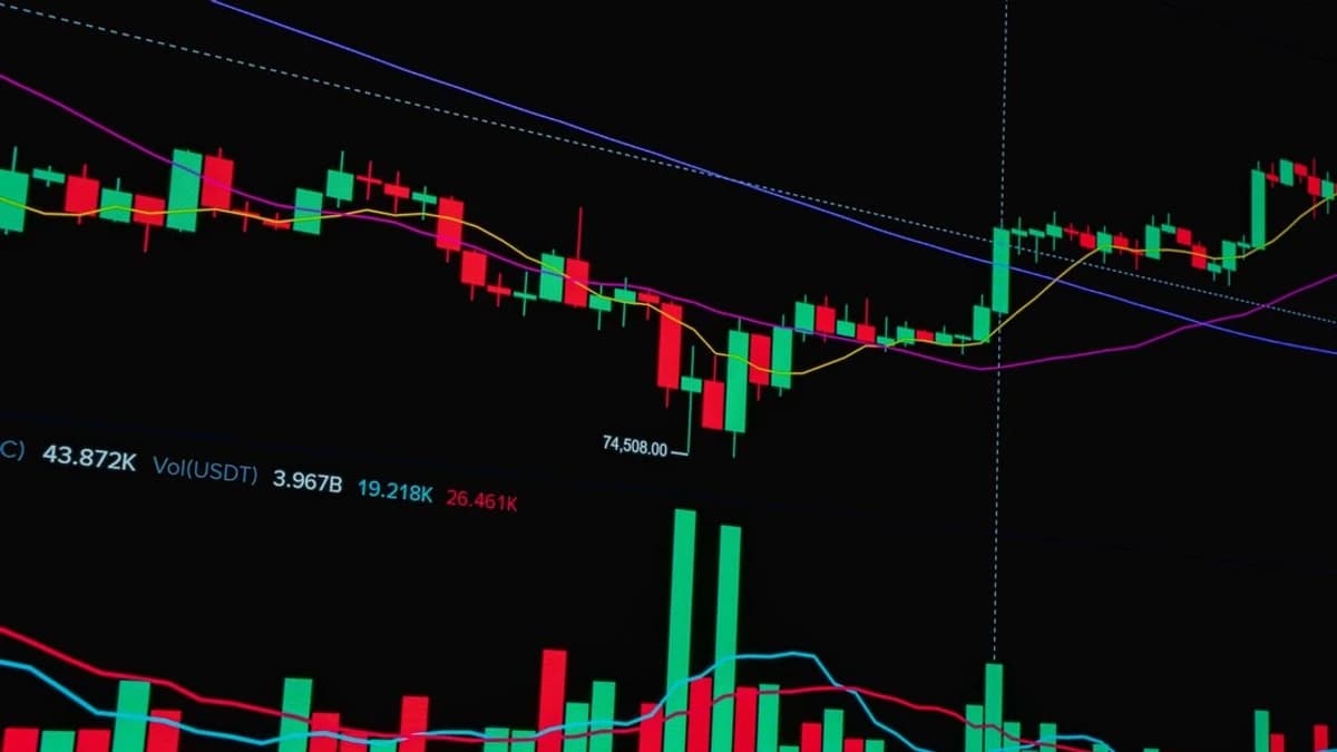 Ran Neuner analyserer tyremarked og viktige altcoin-innsikter