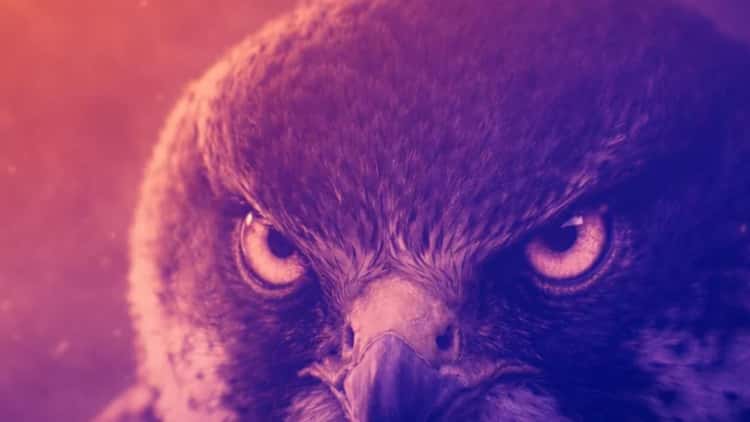 Starknet Unveils Falcon-512 — A New Era for Blockchain Privacy