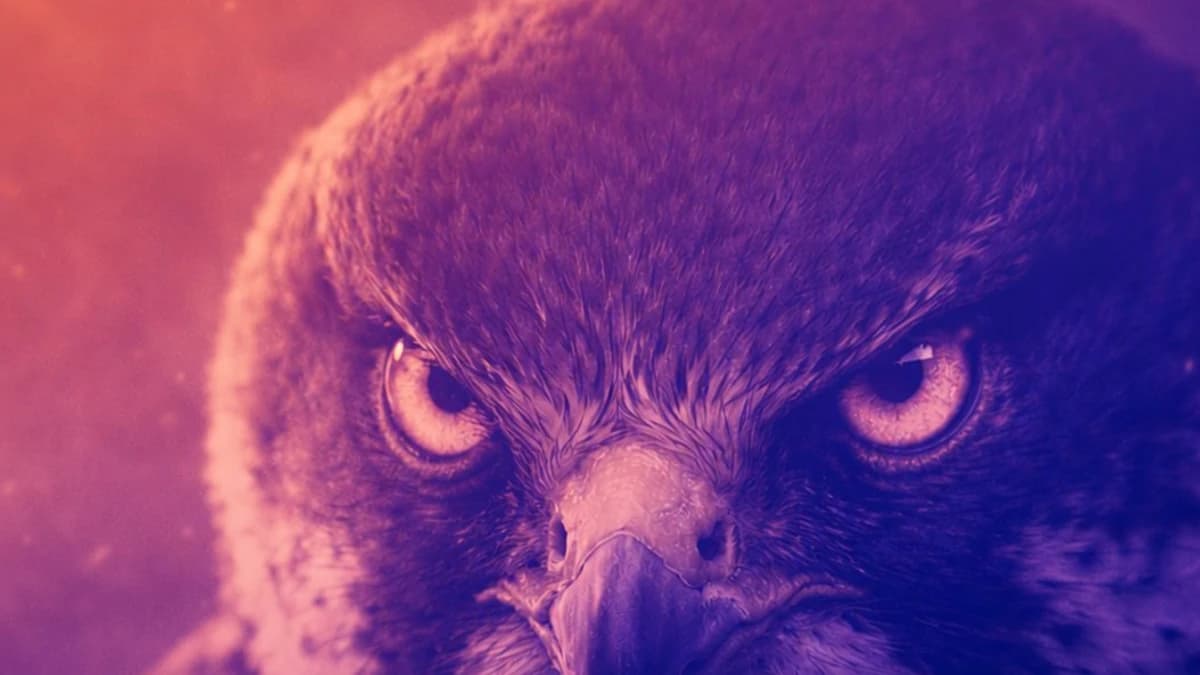 Starknet apresenta Falcon-512 e transforma a privacidade na Blockchain