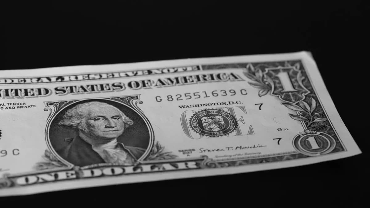 Bitcoin Haberleri: Adam Back Geleneksel Piyasalardan Öğrenilenleri Vurguluyor Piyasayı Neden Yeniden Şekillendirebilir