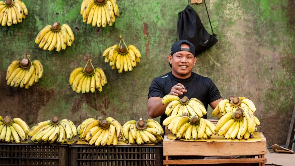 UK’s FCA Unveils Future Crypto Regulations