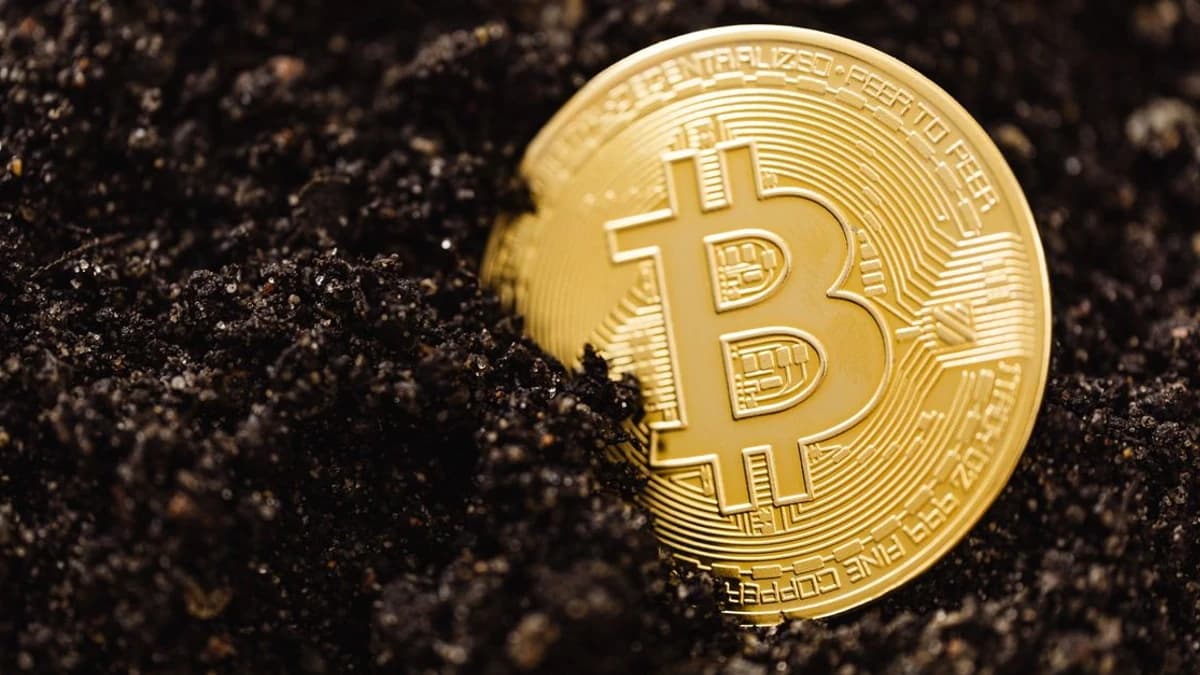 Institutional Demand for Bitcoin ETFs Rises, Ethereum Faces
