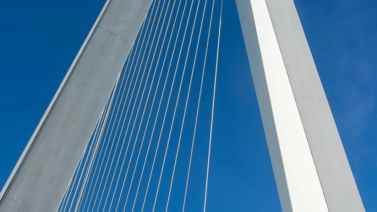 Hedera Releases Intelligence Report Highlighting