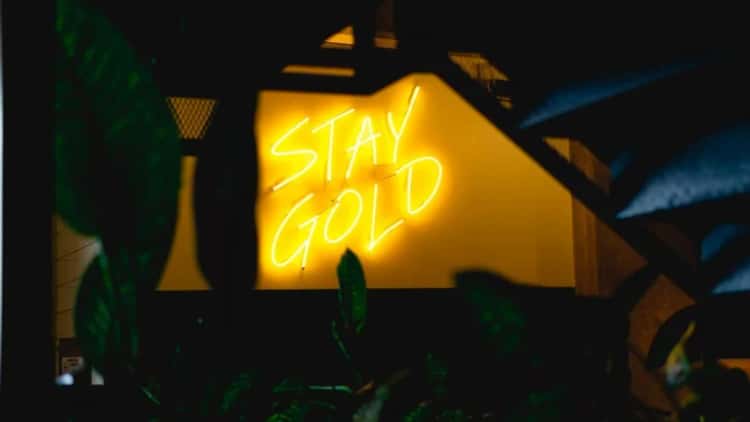 Frax’s frxUSD går inn i Polygon’s Curve Finance