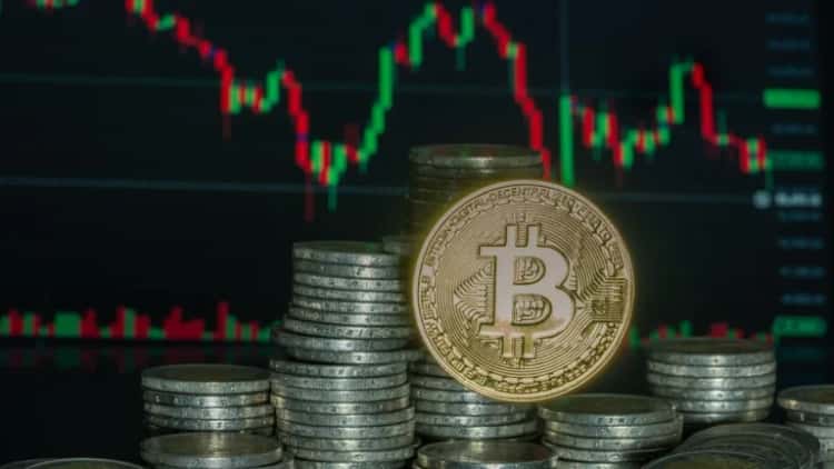 Token Terminal riporta i volumi giornalieri del protocollo