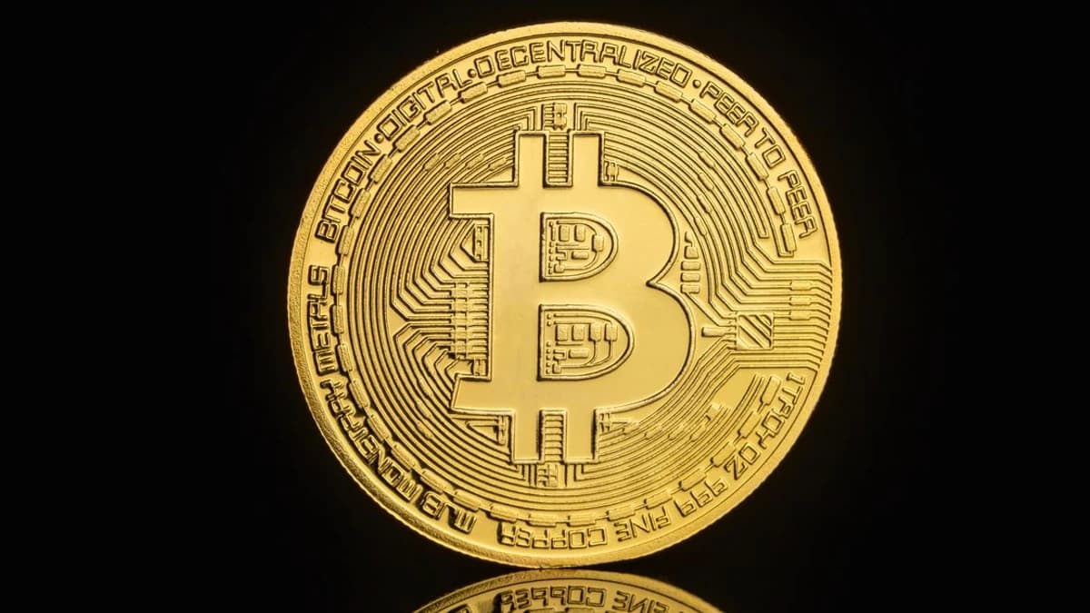Whale Alert revela transferência significativa de BTC