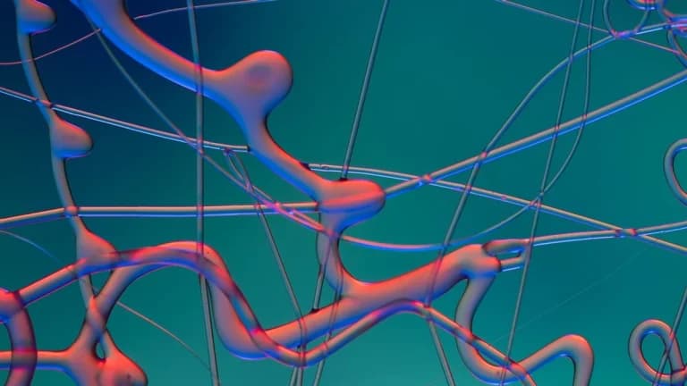 USDC Sees 10,508 Inflow and 10,511 Outflow