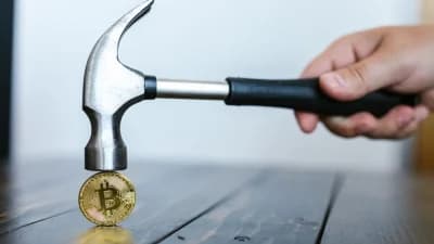Tokenized Stocks on Base Allow Trading Around the Clock