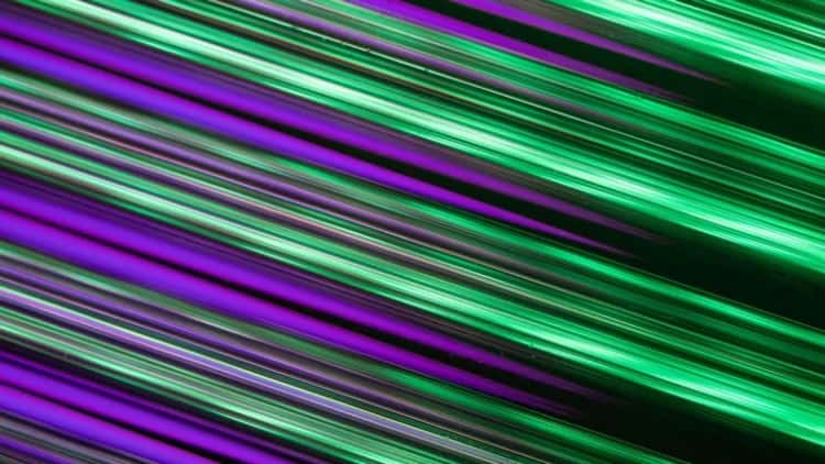 Wintermute Moves $90M in Bitcoin as Whales Ramp Up
