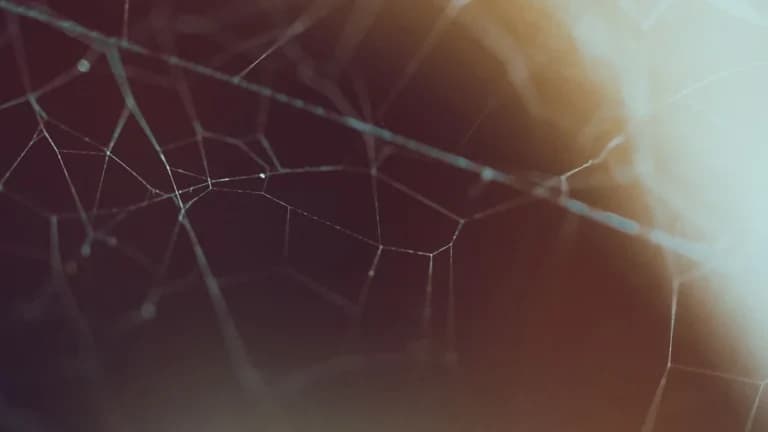 Sui führt Agent Wallets zur Steigerung der Token-Liquidität