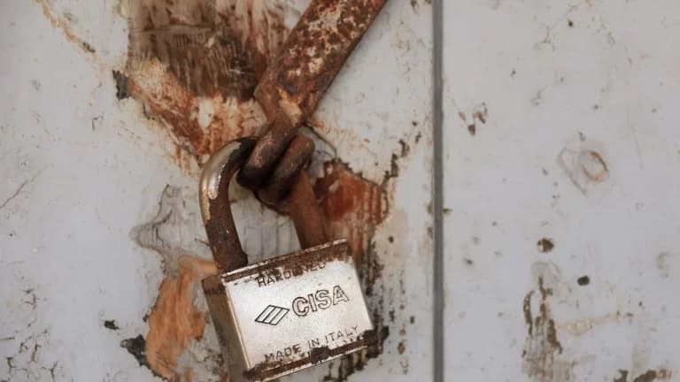 Bitcoin ETFs Attract $850 Million in Inflows Despite Coldcard Hack