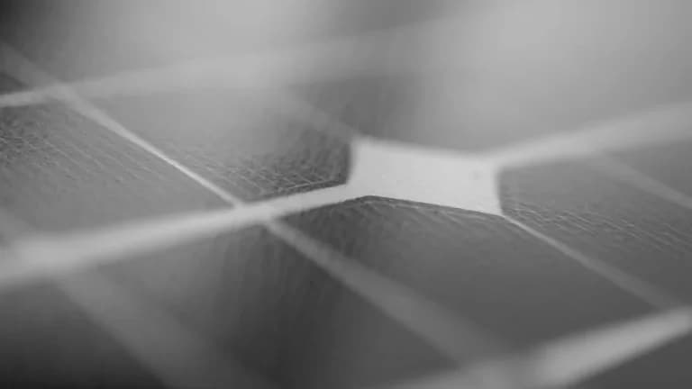 Raydium Dominates DEX Trading with $805.2M in Volume
