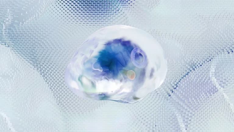 MetaLeX_Labs Growth Catalyst Confirmed by Token Terminal
