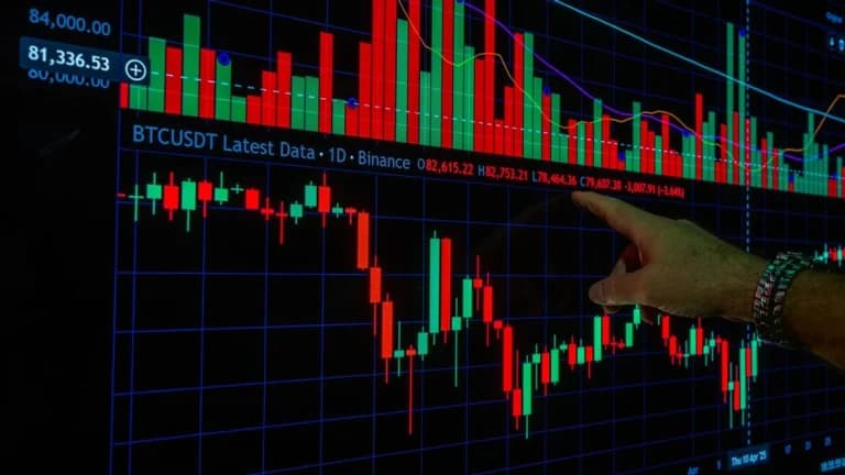 Token Terminal verzeichnet starkes Wachstum bei