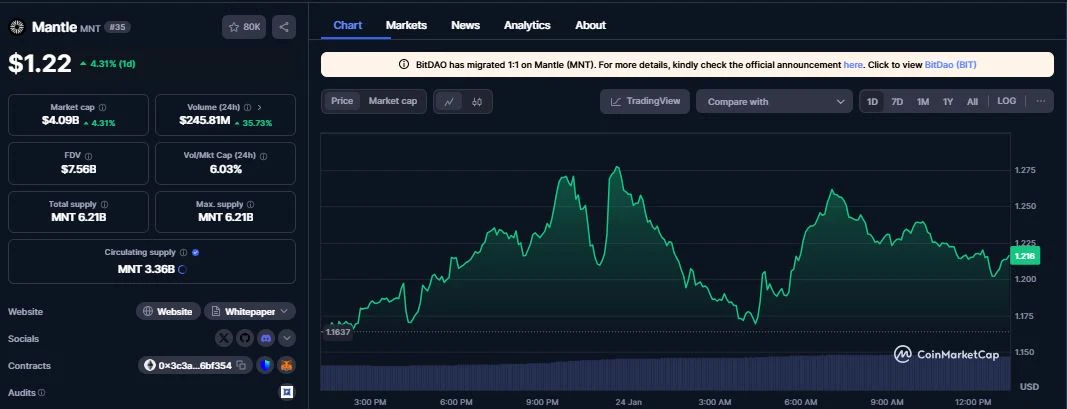 Mantle (MNT) daily chart