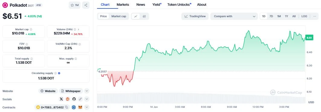 Polkadot (DOT) daily chart