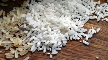 Rice on a Blockchain, Ricex