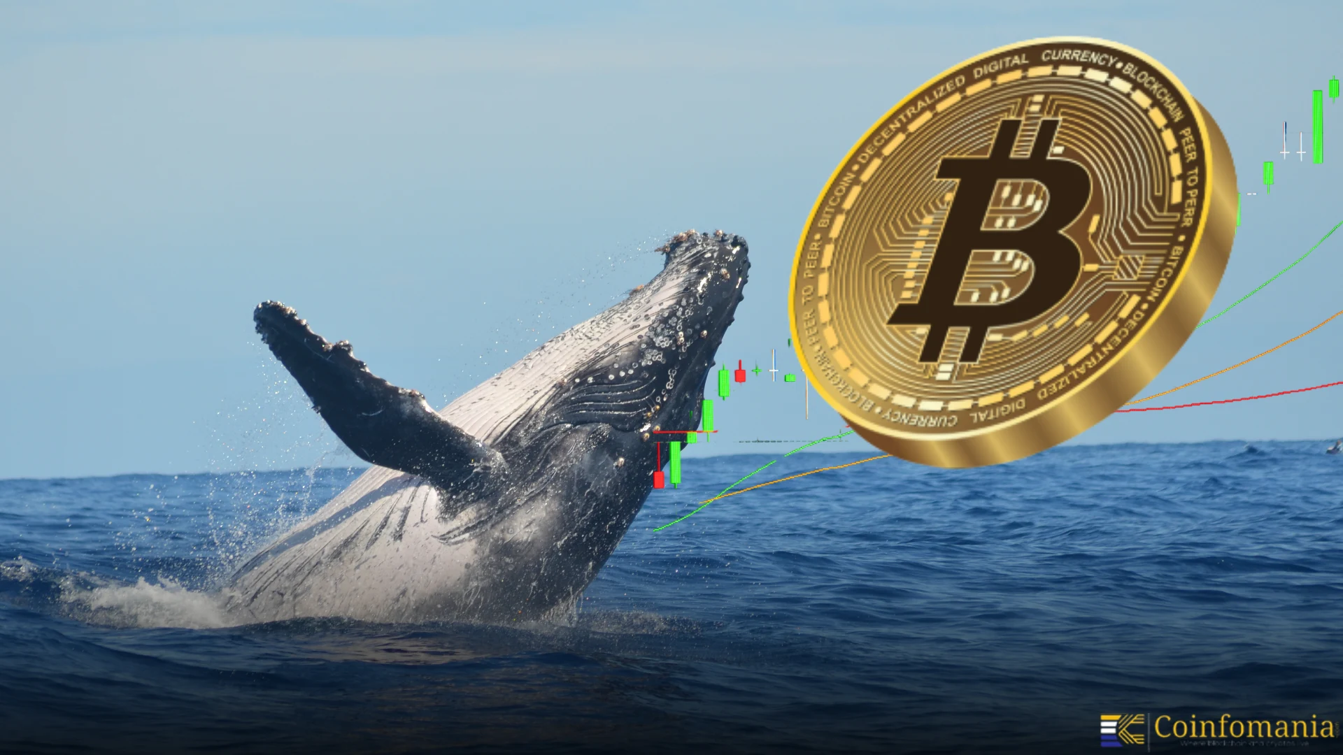 Bitcoin-„Whale“ verkauft BTC und setzt 830 Mio. USD auf Ethereum