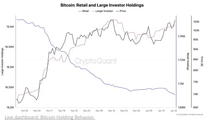 Bitcoin (BTC) retail and large investors