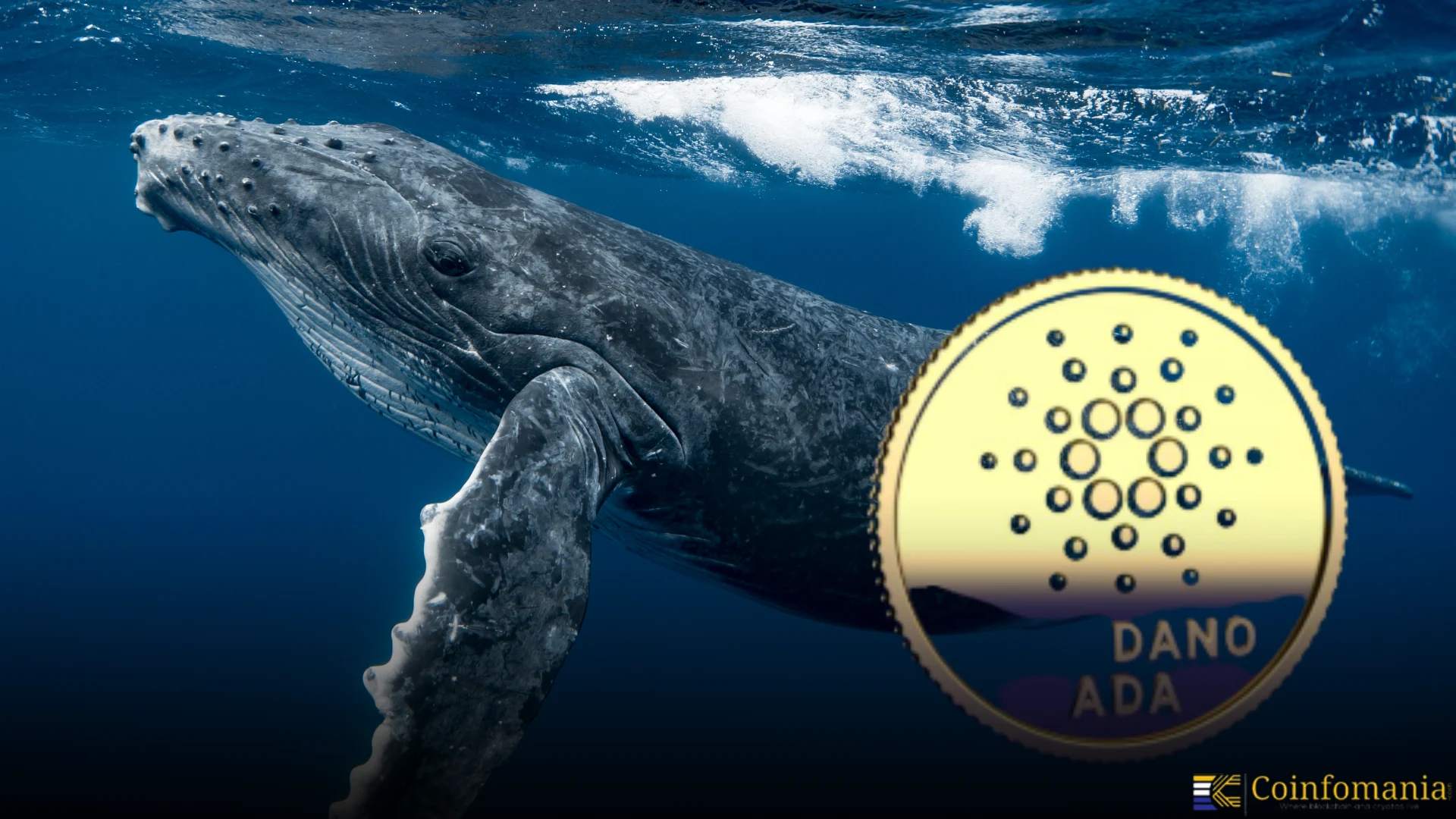 Cardano Entra nella Fase di Wyckoff Markup nel Mezzo della Controversia da  600 Milioni di USD