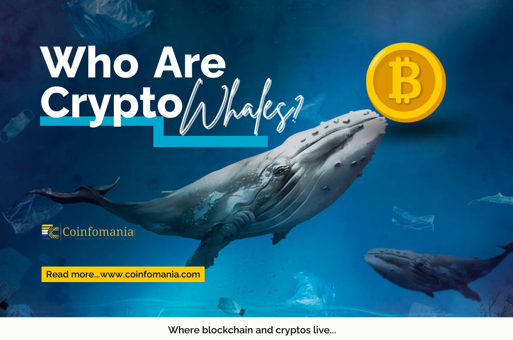 crypto whales explained