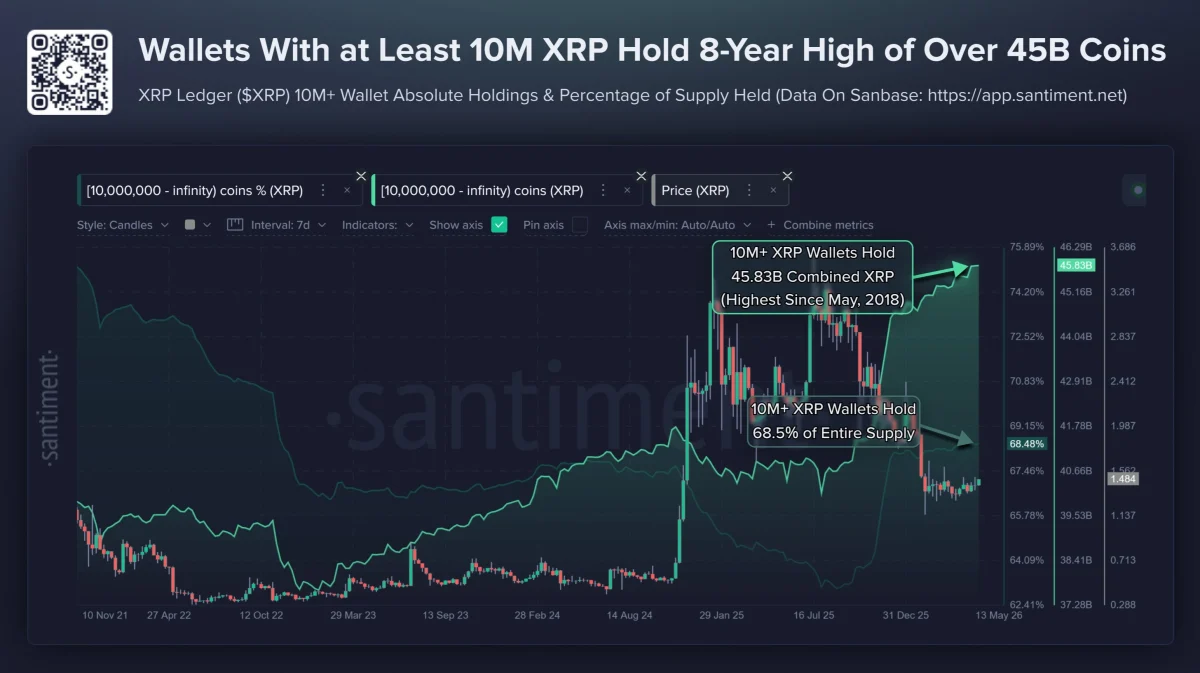Source: Santiment – Large XRP Holder Concentration (10M+ wallets) 
