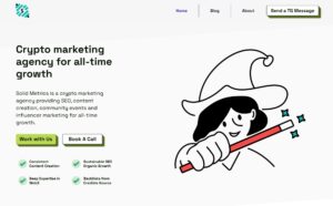Solid Metrics Web3 Marketing Agency