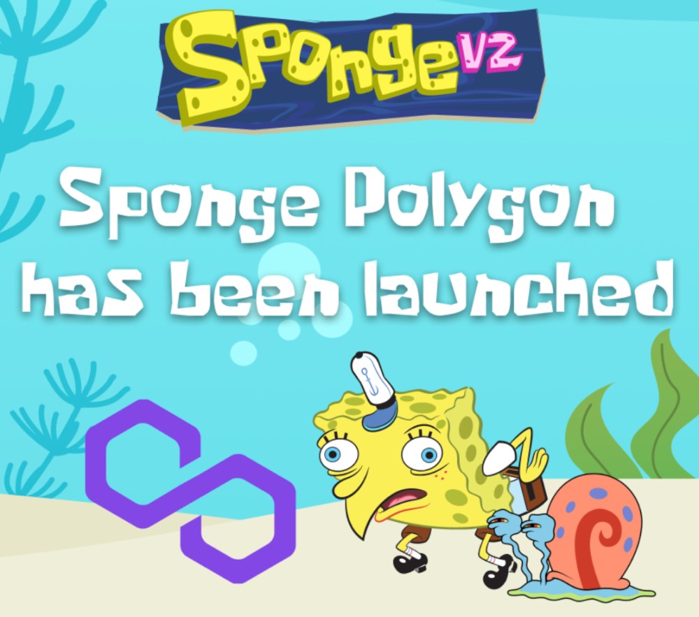 Sponge V2 Polygon