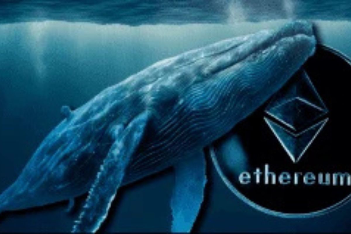 Ethereum (ETH) Analysis: Price Declines 14.65% Amid Whale Moves and ETF Approvals