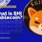 What is SHI Stablecoin