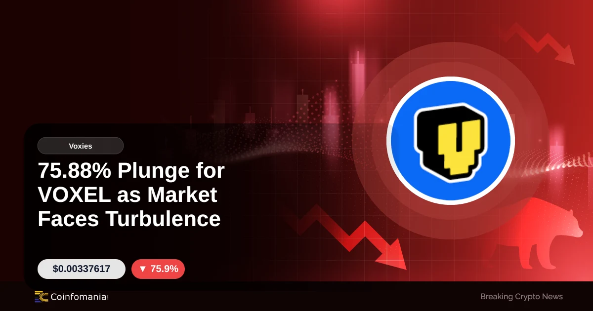 75.88% Plunge for VOXEL as Market Faces Turbulence