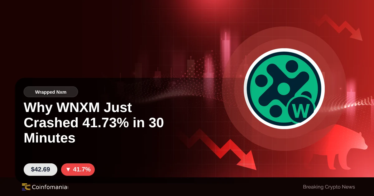 Why WNXM Just Crashed 41.73% in 30 Minutes