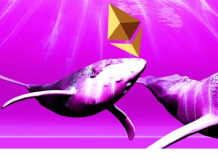Unknown Whale Stakes Over 20k ETH Tokens, Igniting Optimism