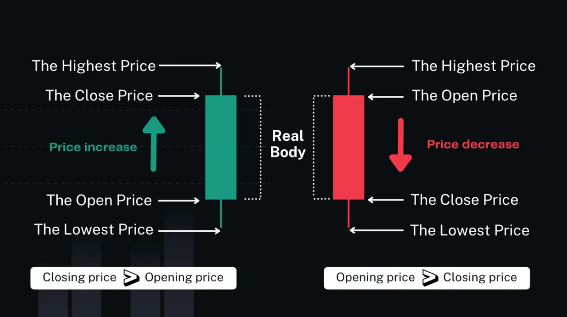 A bar chart or the OHLC (Open, High, Low, Close) chart is what you need for a thorough technical analysis of a cryptocurrency. 