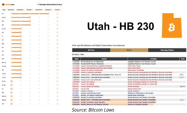 Bitcoin Laws