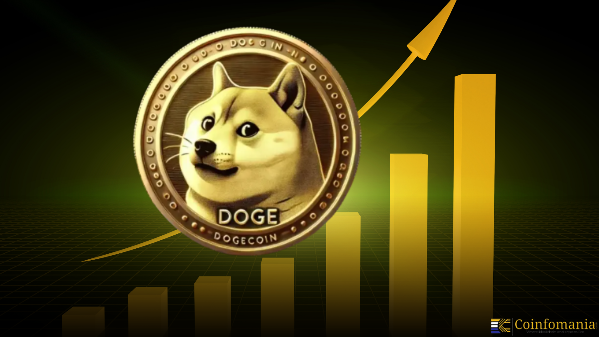 House of Doge Greenlights $200M DOGE Treasury!