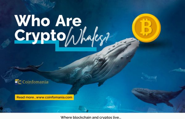 Who Are Crypto Whales? The Only Article You Need to Read